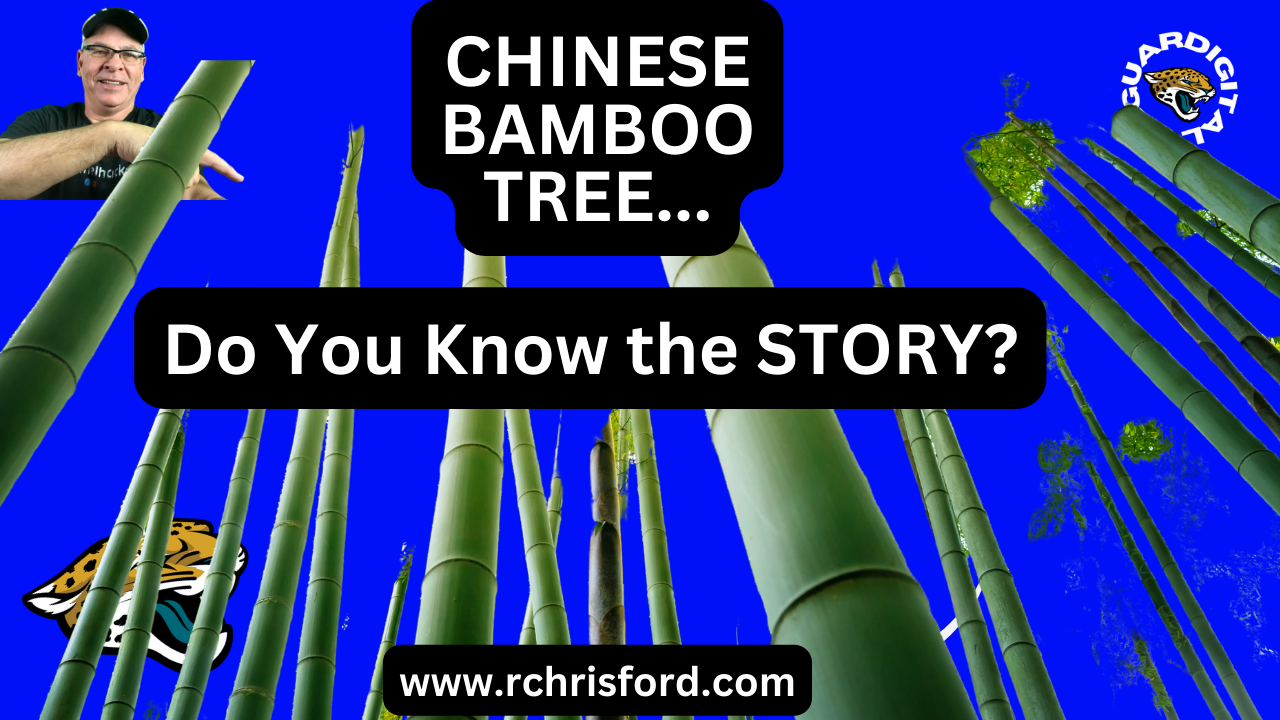 Chinese Bamboo Tree…Do You Know the Story?