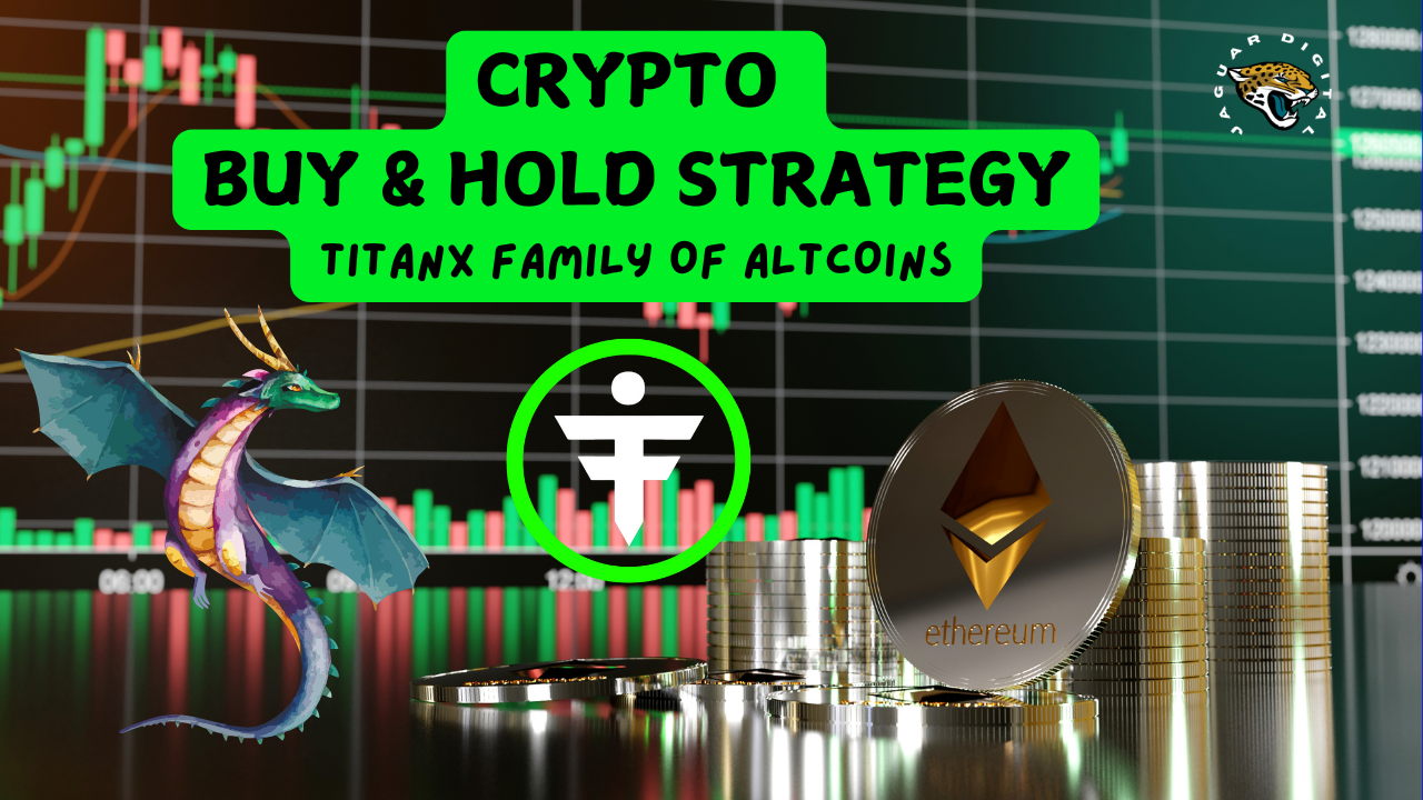 The Cryptocurrency Buy-and-Hold Strategy: Why Holding Altcoins (TITANX specifically)in Your MetaMask or Desktop Wallet Makes Sense